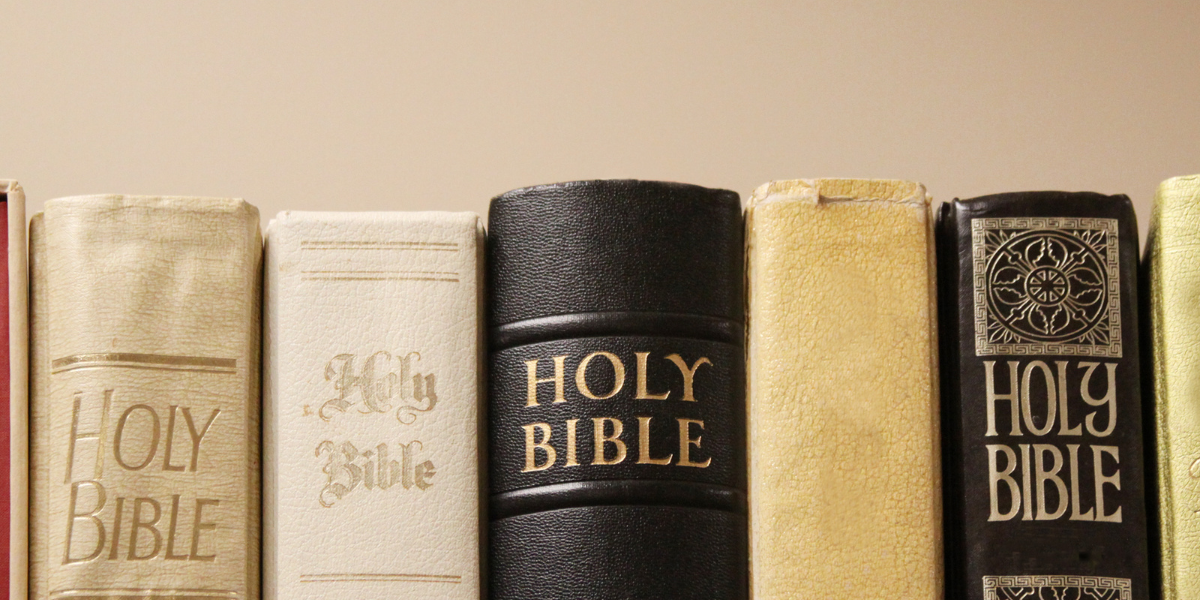 10 Best Study Bibles Of 2023 – Humble & Faithful Co.