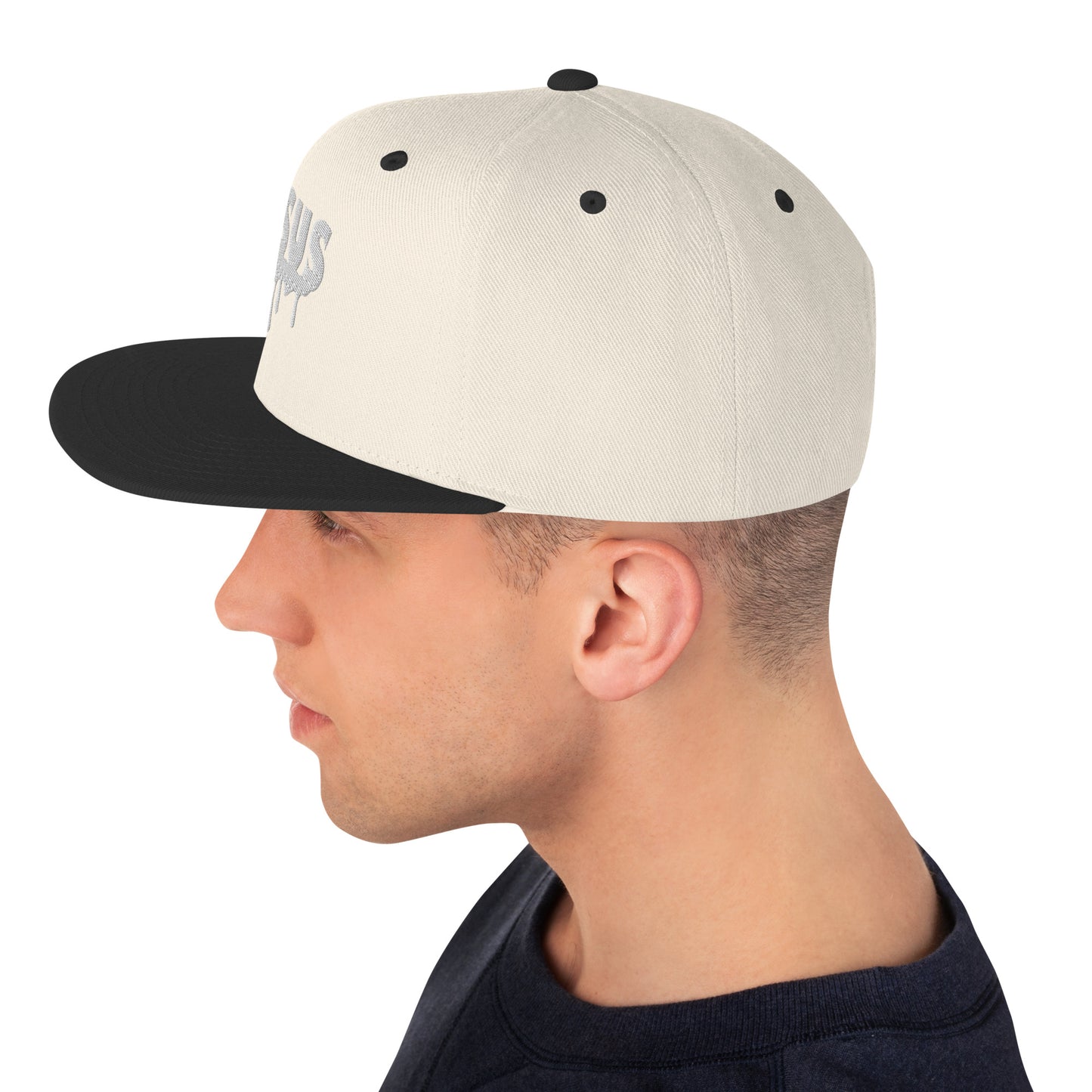 Jesus Drip Snapback Hat (Unisex)