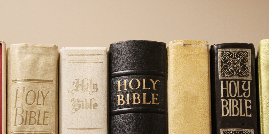 10 Best study Bibles of 2023