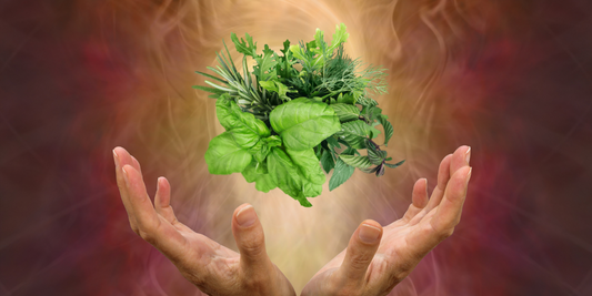 The Healing Power of Herbs in the Bible